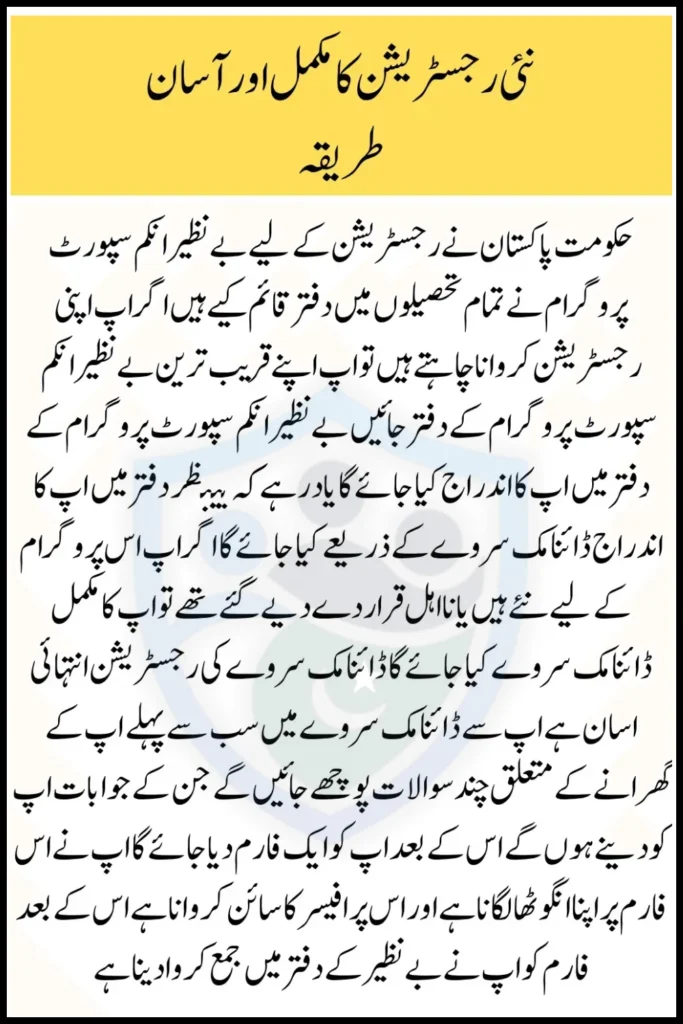 Benazir Income Support Programme New Payment Check Online Via 8171