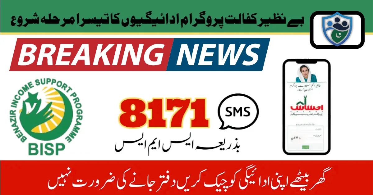 How To Easily Check BISP 8171 Payment Status By CNIC For 2025