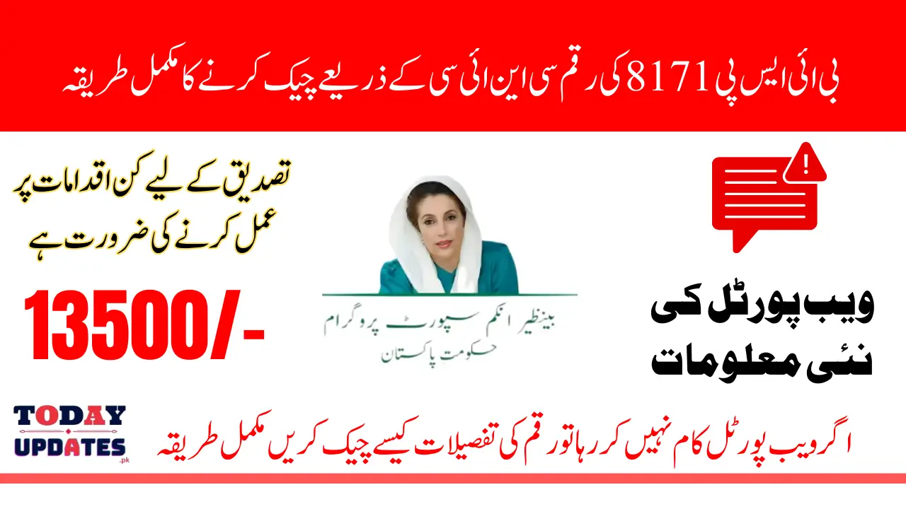 BISP 8171 CNIC Check 2025 Portal Down? Use These Methods Instead