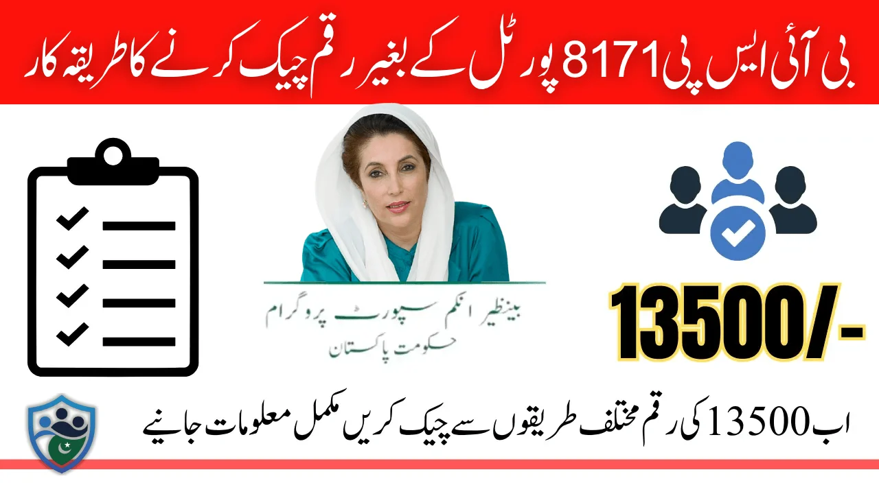 Government Of Pakistan 8171 Web Portal Unavailable Know Alternative Method To Verify 13500 Payment