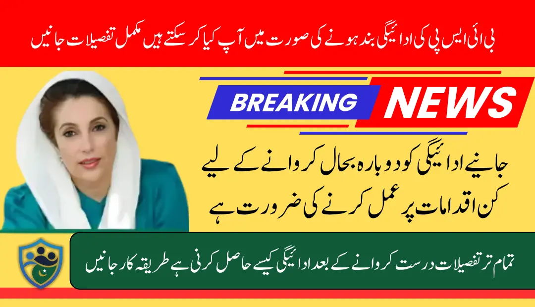 What Should Do If BISP Removed From 13500 Payment List Know Full Details 2025