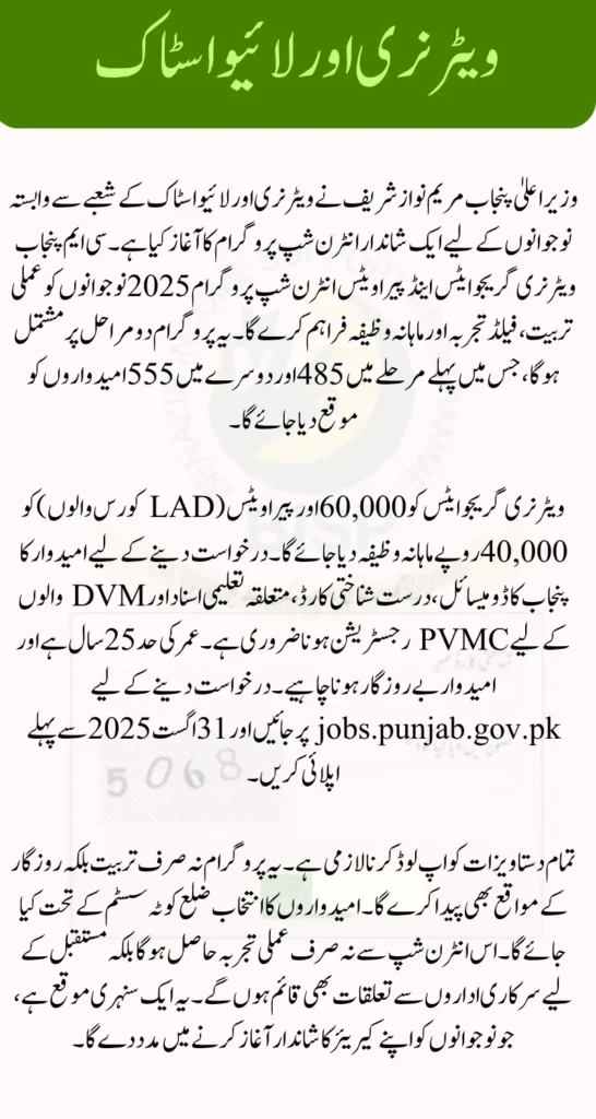 CM Punjab Internship Program 2025 Check How to Apply (Step-by-Step)