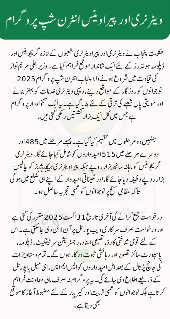 Punjab Internship Program 2025 Application Deadline and Check Eligibility Criteria